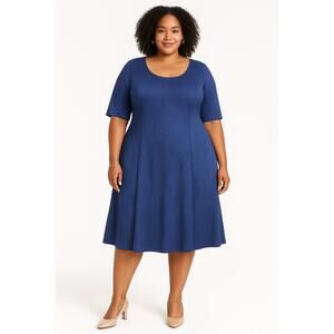 Bethany 3X Blue Gored Swing Dress – Plus Size